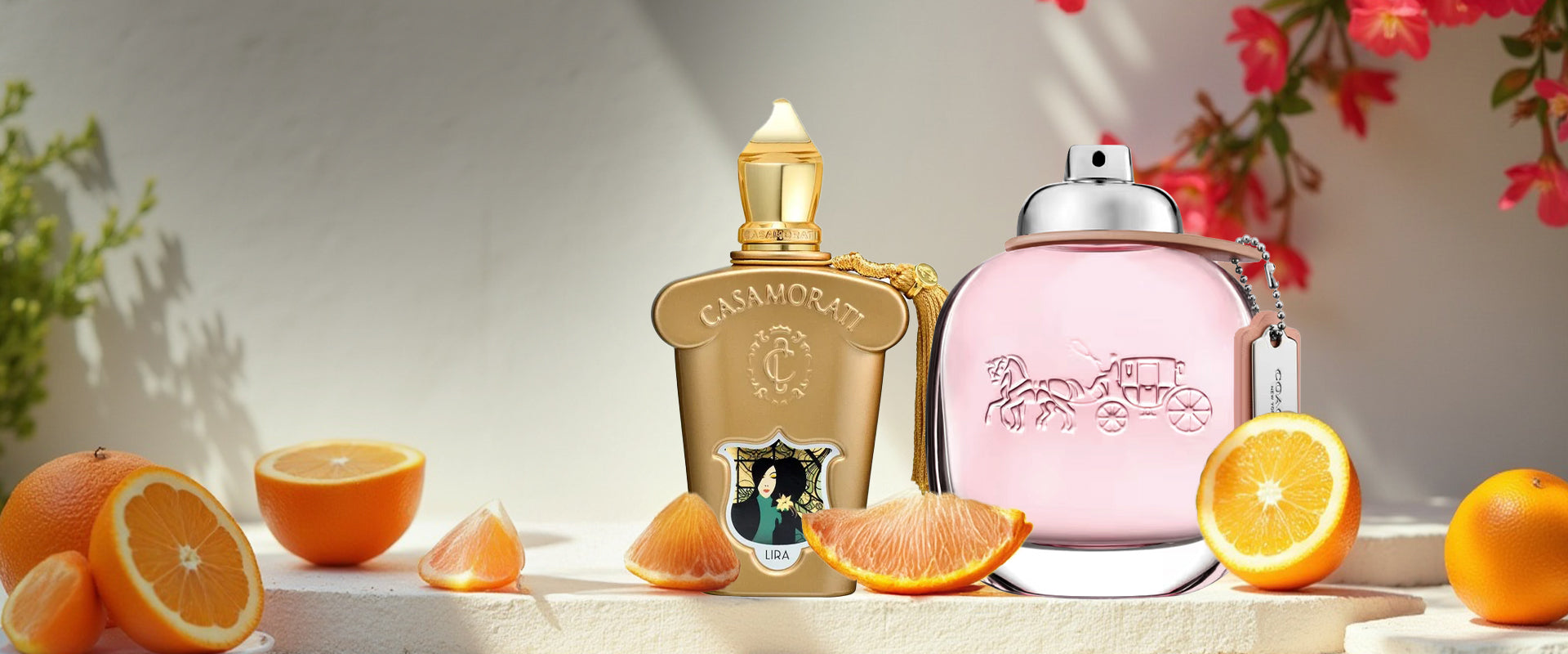 Coach Perfumes