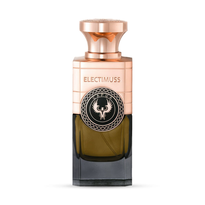 Capua EDP