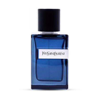 Y Intense EDP