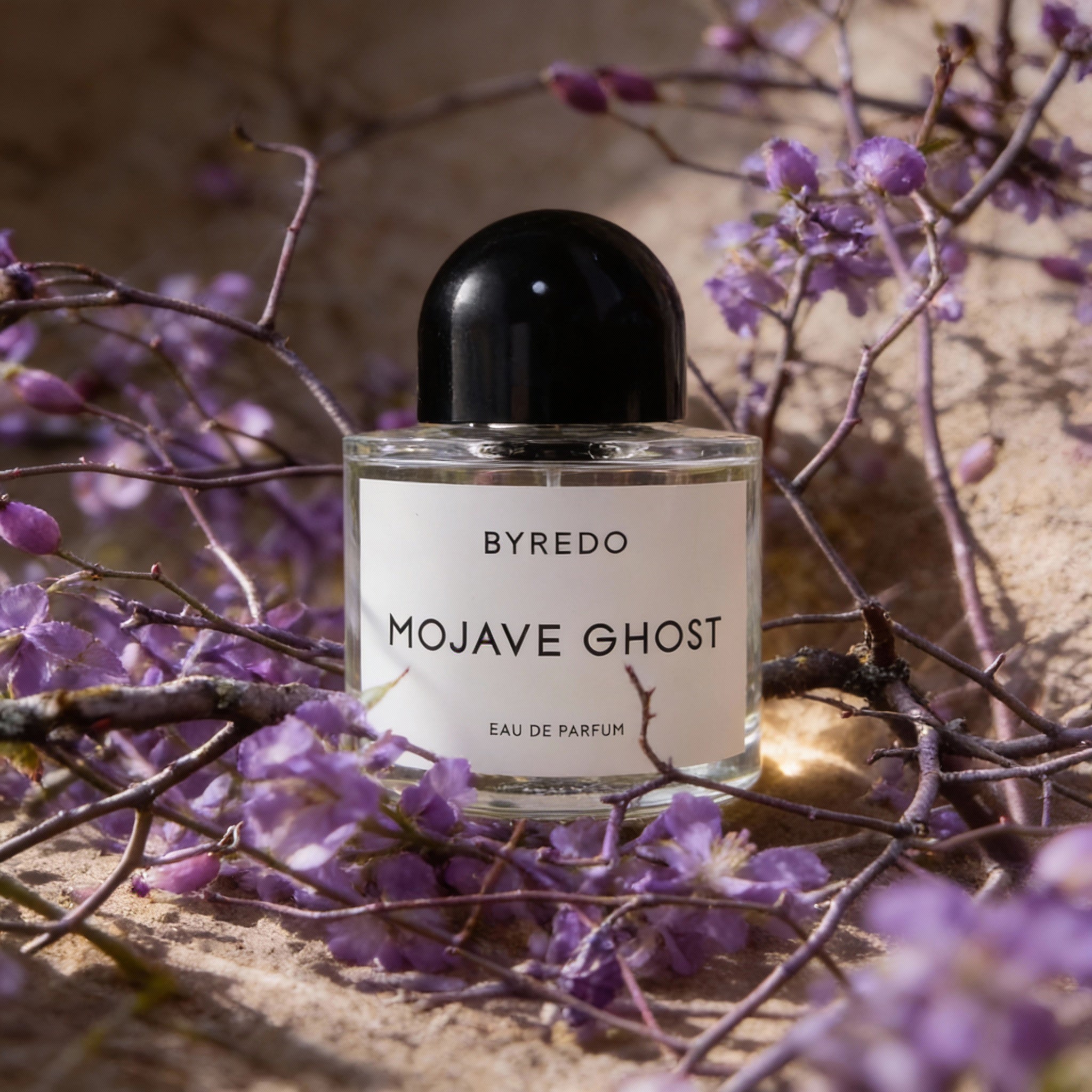 Mojave Ghost EDP